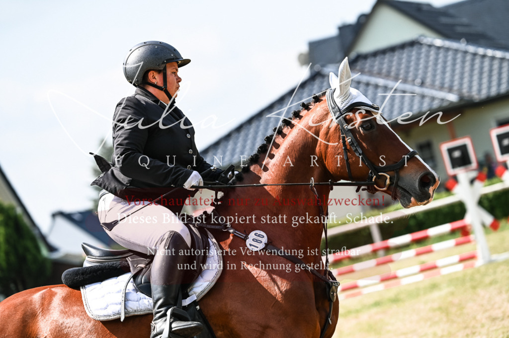 DSC_8698 | Pferde- und Turnierfotografie in Westsachsen. Pferdeportraits, Auftragszeichnungen und intuitive Kunst.