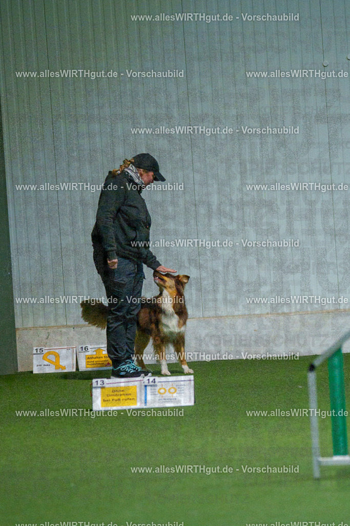 7R502849 | Professionelle Tierfotografie in Mönchengladbach von Daniel Wirth (allesWIRTHgut). Liebevolle & natürliche Bilder von Hunden & Katzen für unvergessliche Erinnerungen.