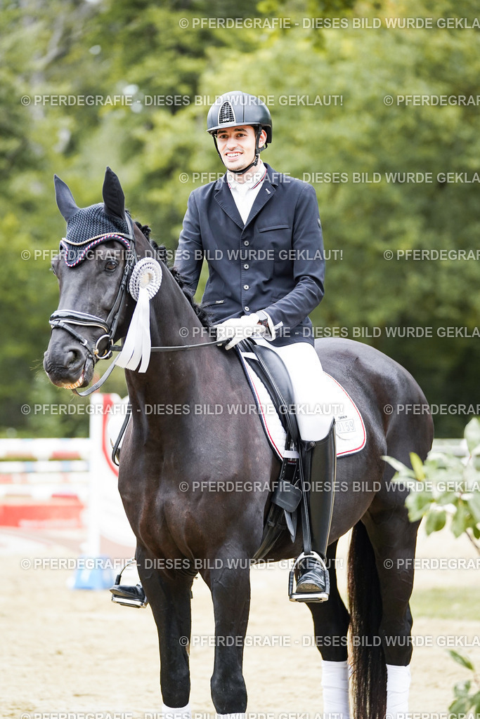 DSC02410 | Pferdegrafie