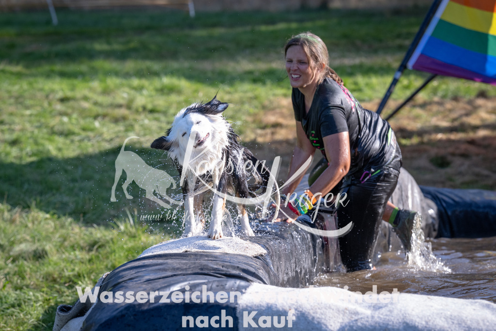 1711_ZZ93709 | kk-dogfotos