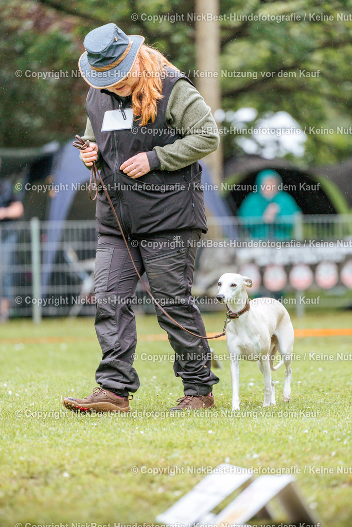 RO-Blumenthal-2026-Nickbest-Hundefotografie-0184 | Dein Hund! Dein Moment! Deine Erinnerungen! Hundefotografie in Bremen Blumenthal. Ich fange die besonderen Momente deines Vierbeiners ein – ob Indoor mit Blitzanlage oder in der freien Natur. Sicher dir dein Moment und dein Termin für eure Erinnerungen.
