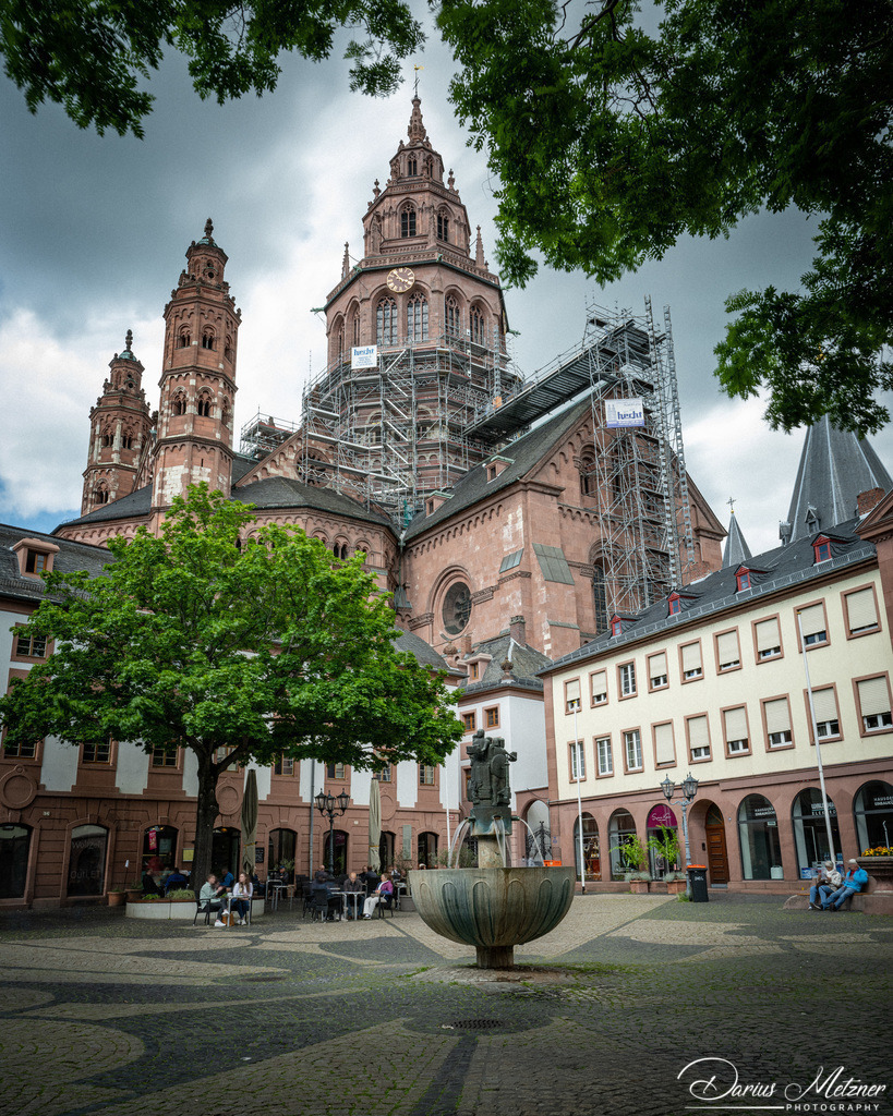_DSC0497 | Fotografien, Fotos und Bilder aus Mainz, Frankfurt, Wiesbaden und anderen Orten auf der Welt - Fotografiert von Darius Metzner