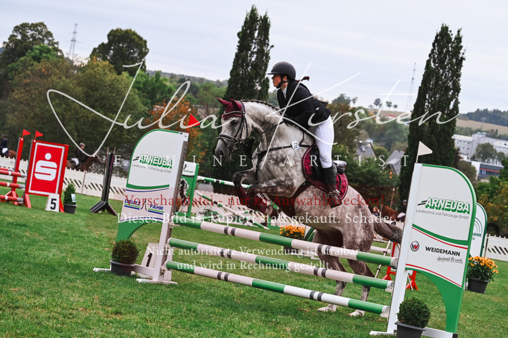 DSC_6352 | Pferde- und Turnierfotografie in Westsachsen. Pferdeportraits, Auftragszeichnungen und intuitive Kunst.