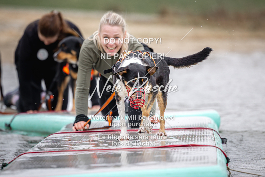 nelerasche_Hulsbeek_Sa1130-1230_28 | nelerasche
