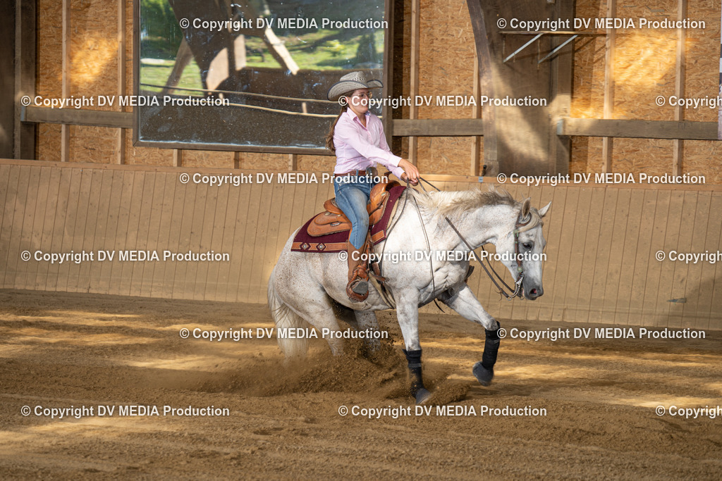 DSC00518 | dv-media-shop - Realisiert mit Pictrs.com