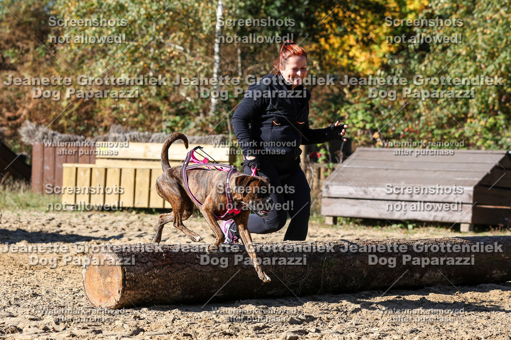 Dog Paparazzi - Strongdog 10-25-2760 | Dog Paparazzi Jeanette Grottendiek Fotografie & Videografie - Realisiert mit Pictrs.com