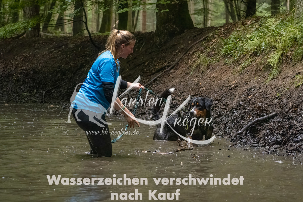 1145_ZZ91560-Bearbeitet-2 | kk-dogfotos