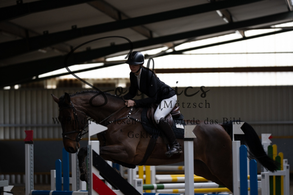 A7V03794 | Pferdefotograf