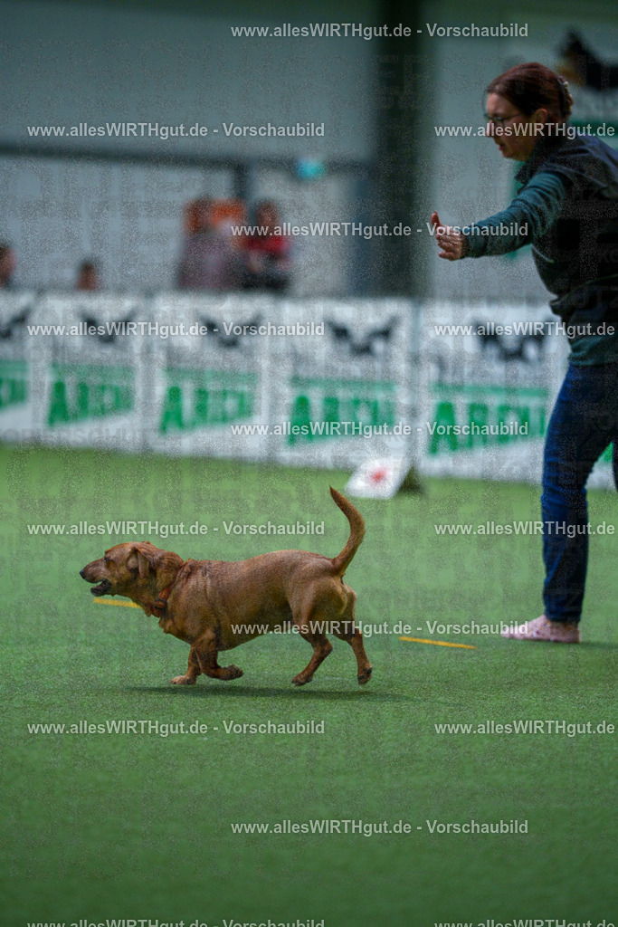 7R501856 | Professionelle Tierfotografie in Mönchengladbach von Daniel Wirth (allesWIRTHgut). Liebevolle & natürliche Bilder von Hunden & Katzen für unvergessliche Erinnerungen.