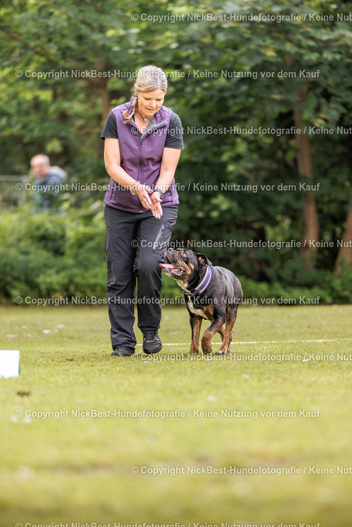 RO-Blumenthal-2026-Nickbest-Hundefotografie-1723 | Dein Hund! Dein Moment! Deine Erinnerungen! Hundefotografie in Bremen Blumenthal. Ich fange die besonderen Momente deines Vierbeiners ein – ob Indoor mit Blitzanlage oder in der freien Natur. Sicher dir dein Moment und dein Termin für eure Erinnerungen.