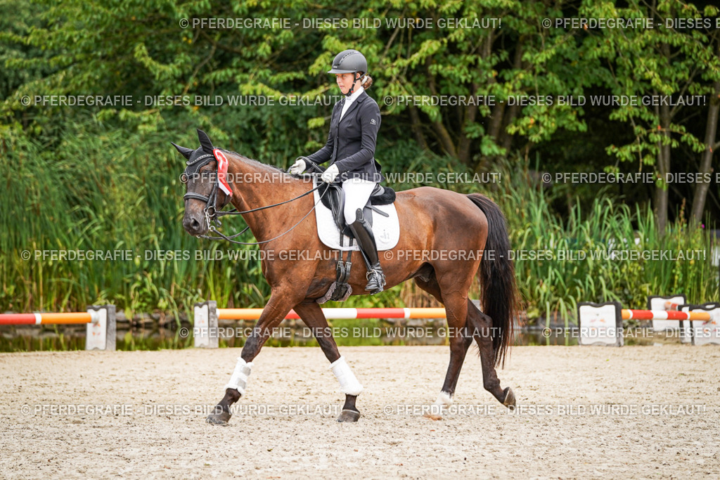 DSC04845 | Pferdegrafie