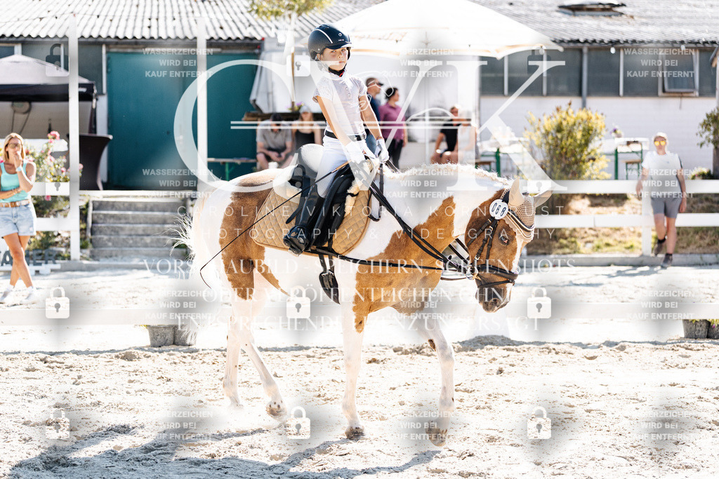 CK903275 | Turnierfotografie Pferdefotografie Trier Rheinland-Pfalz Pferdesport Reitsport Tierfotografie Sportfotografie Pferdevideo Pferdevideografie Equestrianvideography equestrianphotography  - Realisiert mit Pictrs.com