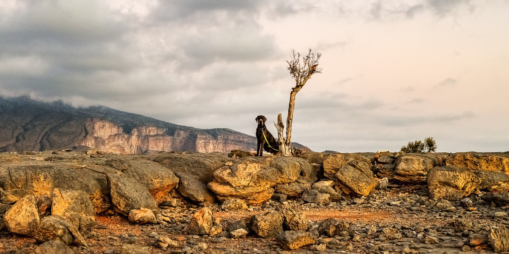 2019_OMAN_jabel_sham_sunset__007 | PRINTBOX - Realisiert mit Pictrs.com