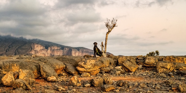 2019_OMAN_jabel_sham_sunset__007
