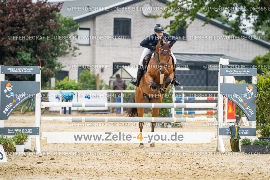 DSC00879 | Pferdegrafie