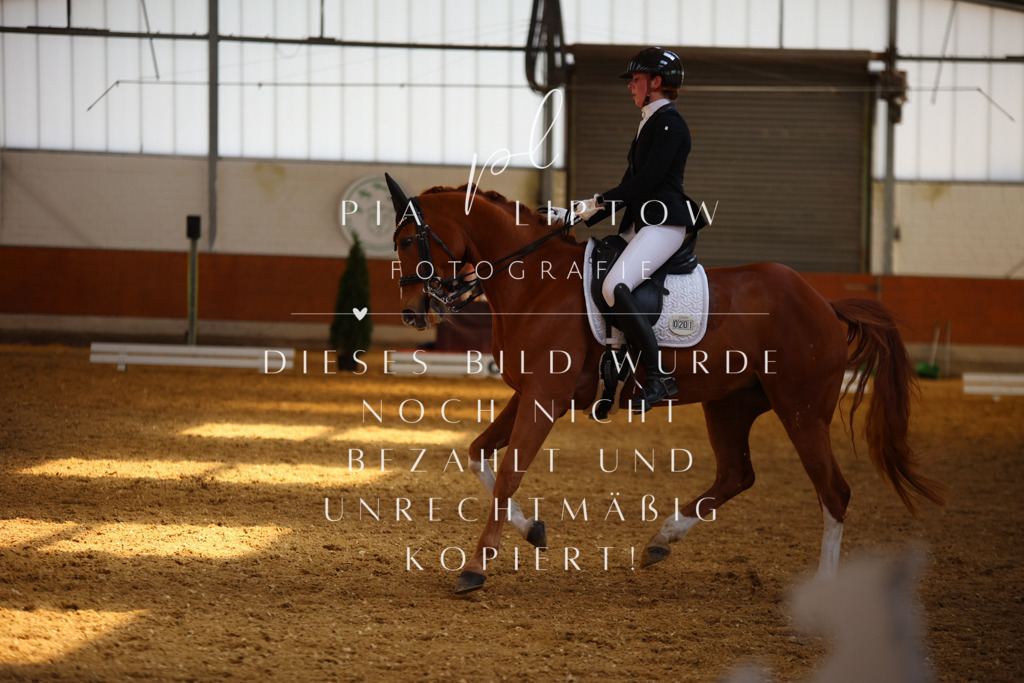 IMGT8321 | pl-fotografie