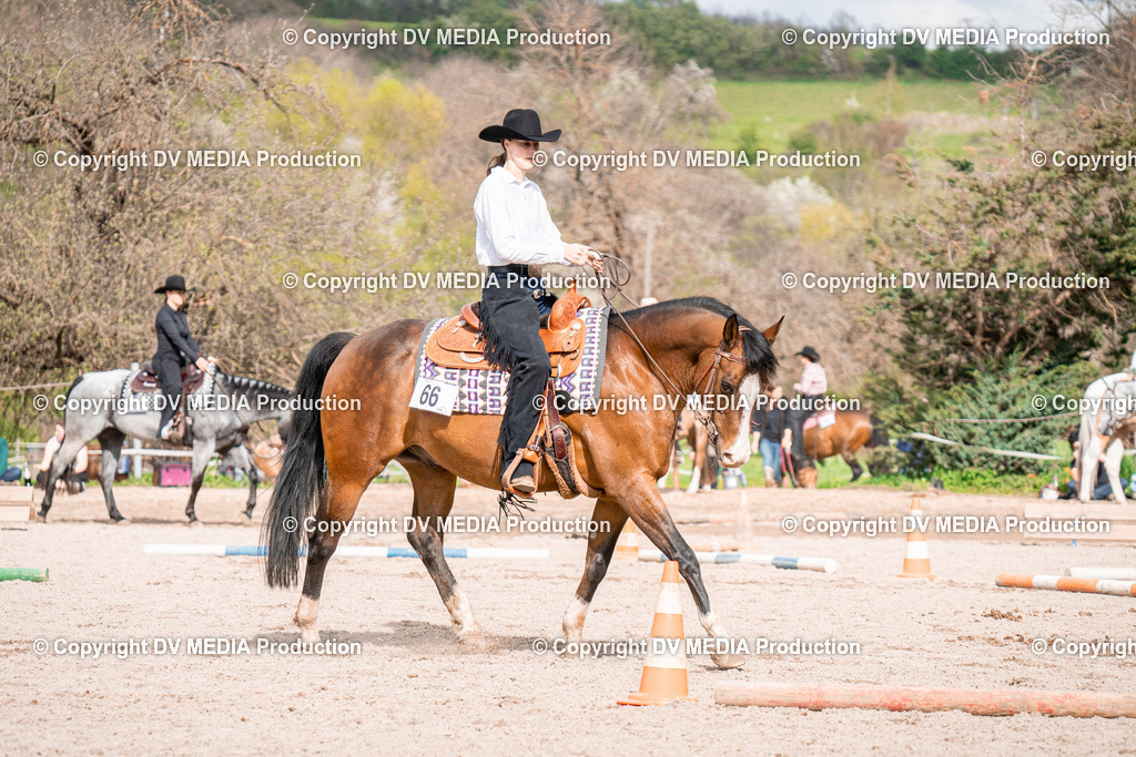 BAL02694 | dv-media-shop - Realisiert mit Pictrs.com