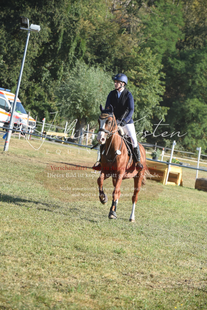 DSC_5165 | Pferde- und Turnierfotografie in Westsachsen. Pferdeportraits, Auftragszeichnungen und intuitive Kunst.