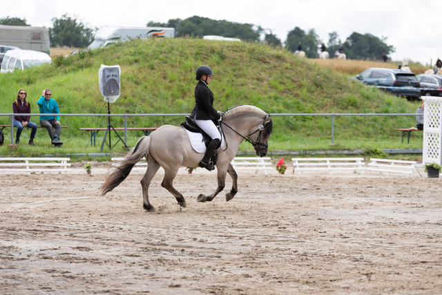 IMG_9036 | normansfotografie - Realisiert mit Pictrs.com