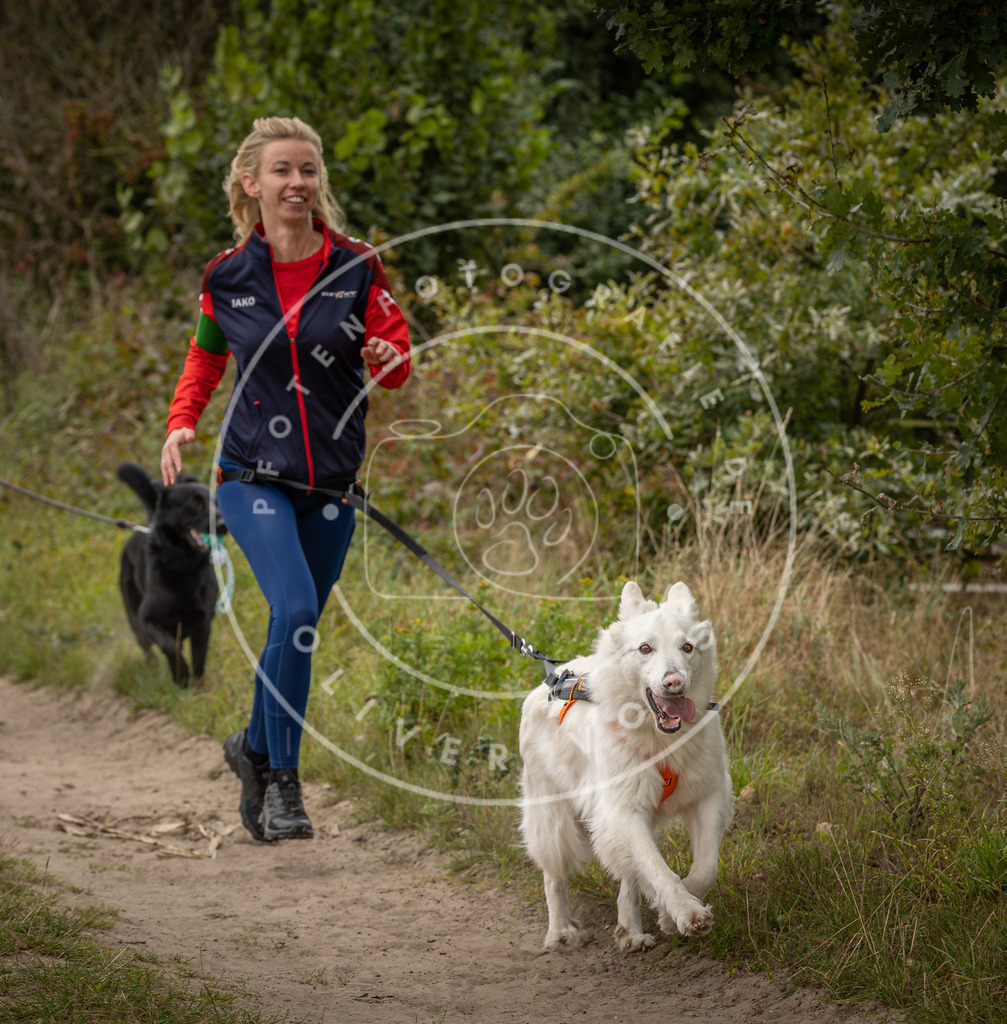 Pfotenfotografie_DV3A7995 | Hundefotografie, Tierfotograf, Pfotenfotografie, Fotoshooting Hund, Hunde Portrait, Hundesport, Hundeportraits, Heideshooting, Hunde, Sportfotograf, Hundefotograf, Turnierhundsport, THS,  - Realisiert mit Pictrs.com