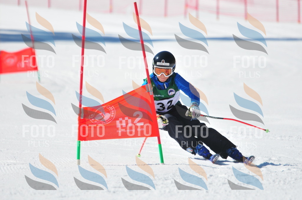 C3533 | holidayphoto