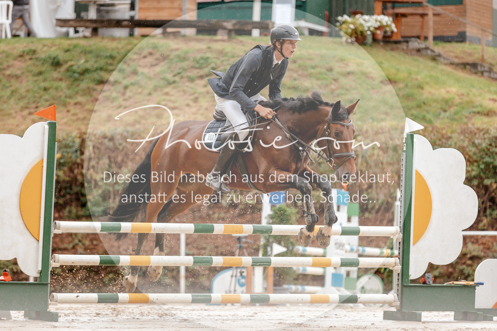 3I6A5642 | Stimmungsvolle Portraits und Reitsportfotografie im Ruhrgebiet und im Münsterland.

Pferdefotografie, Hundefotografie, Tierfotografie, Reportagen, Portraits von Tier und Mensch, Turnierfotografie in Bochum, Recklinghausen, Marl, Haltern am See, Dülmen.. - Realisiert mit Pictrs.com