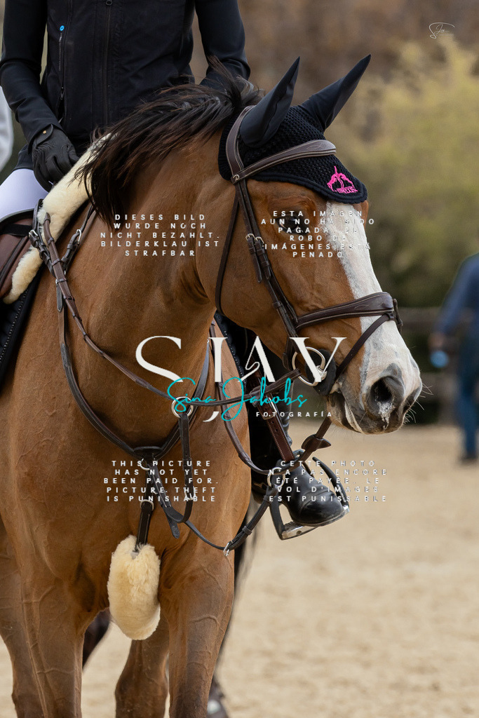 IMG_4763 | s-jay-photography - Realisiert mit Pictrs.com