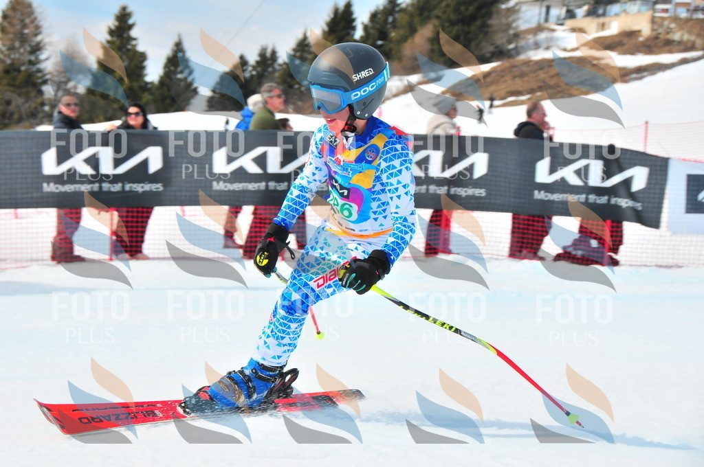 DSC_2667 | holidayphoto