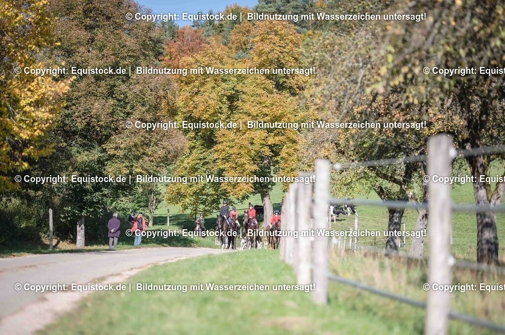 20251011_Jagd-Marbach_0565 | Foto: Thomas Hartig