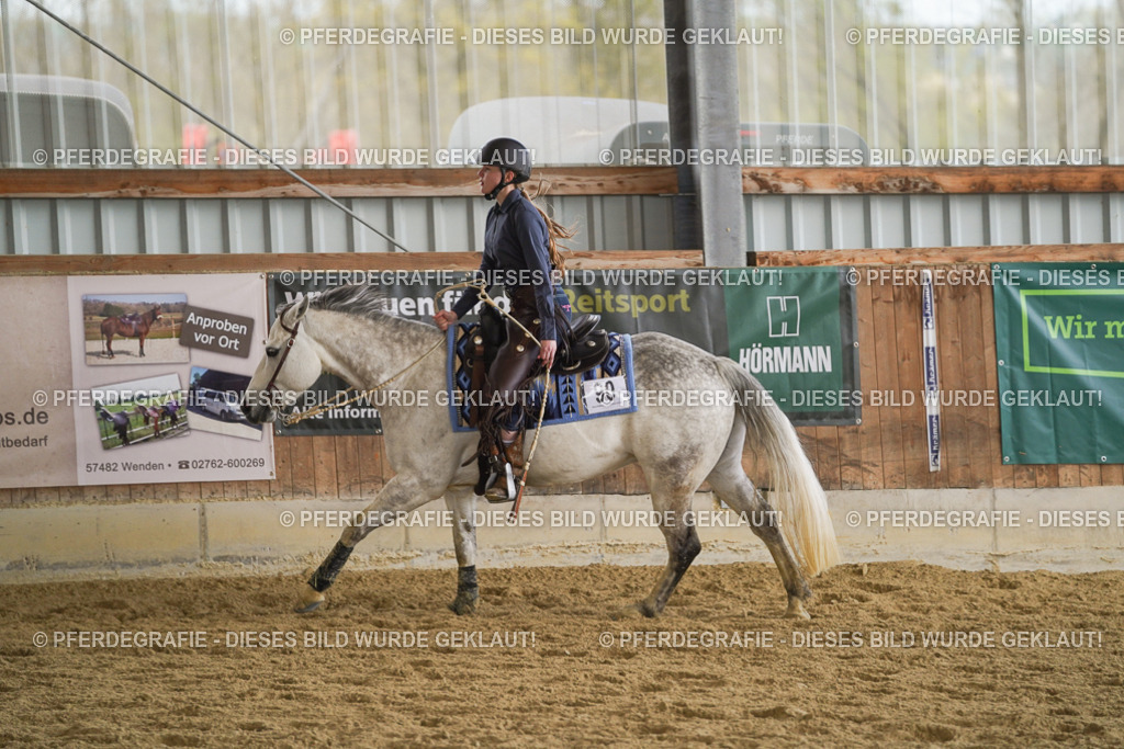 DSC08674 | Pferdegrafie