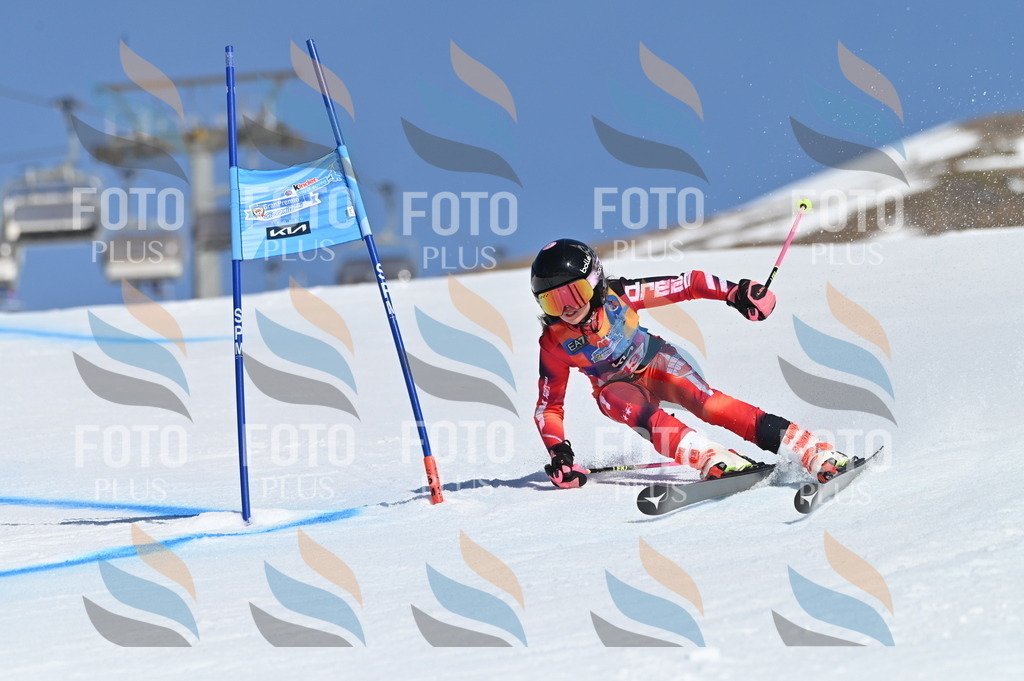 BGV_8411 | holidayphoto