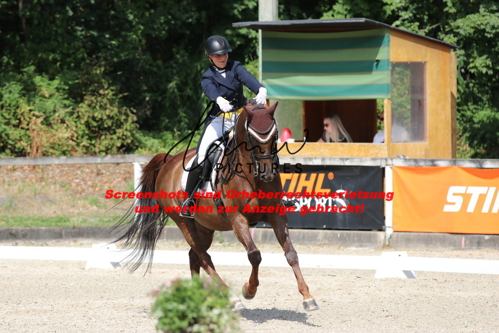 IMG_7019 | lmwpictures - Realisiert mit Pictrs.com