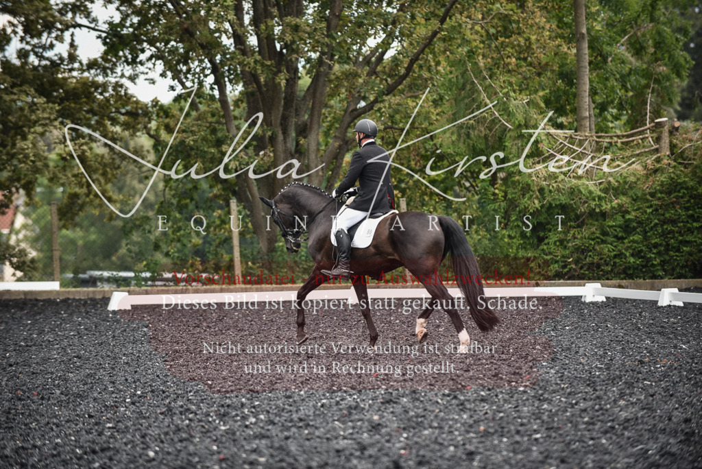 DSC_4934 | Pferde- und Turnierfotografie in Westsachsen. Pferdeportraits, Auftragszeichnungen und intuitive Kunst.