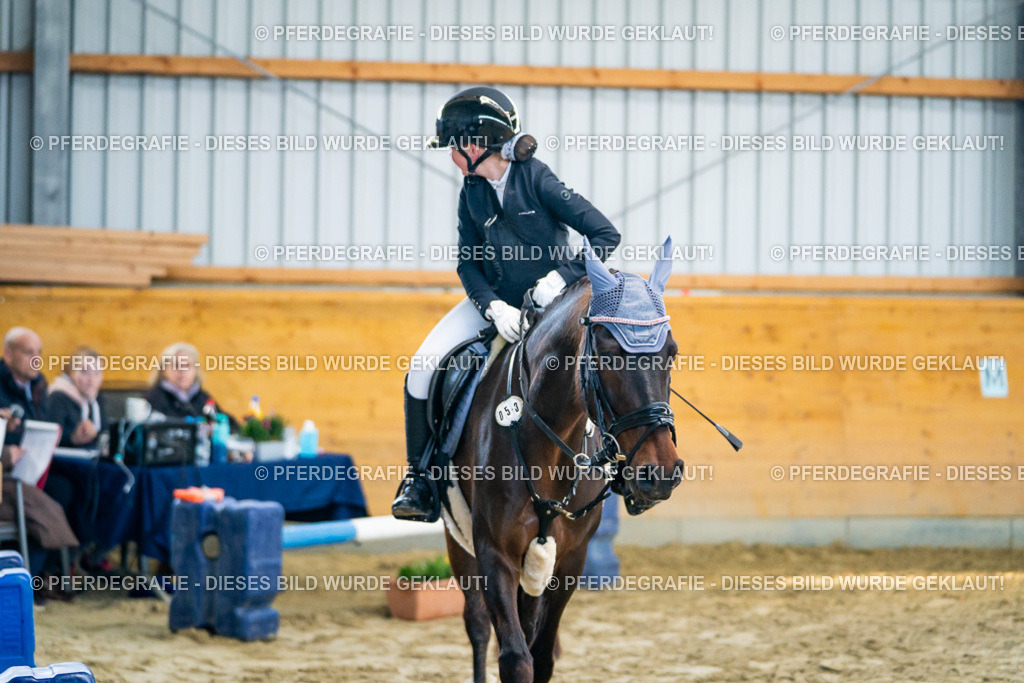 DSC00931 | Pferdegrafie