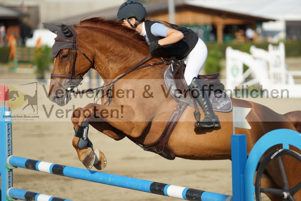 DSC00665 | equestrian-live-com