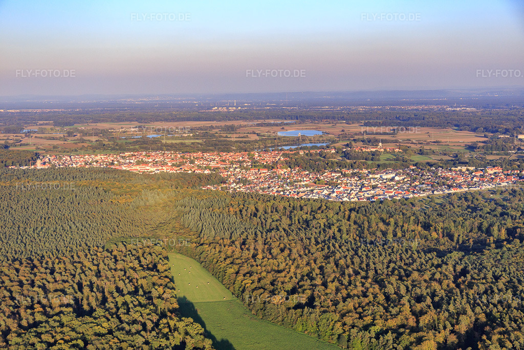 Luftbild: Hintergraben und Dörniggraben begrenzen eine Lichtung im Bienwald in Kandel im Bundesland Rheinland-Pfalz in Deutschland. Foto: IMG_073165.jpg vom 23.09.2014 durch Werner Riehm/FLY-FOTO.de