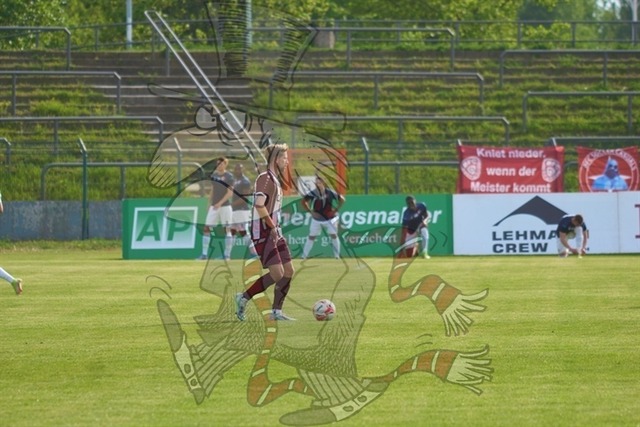 BFC Dynamo vs. Berliner AK 07 036 | mythos-online-redaktion