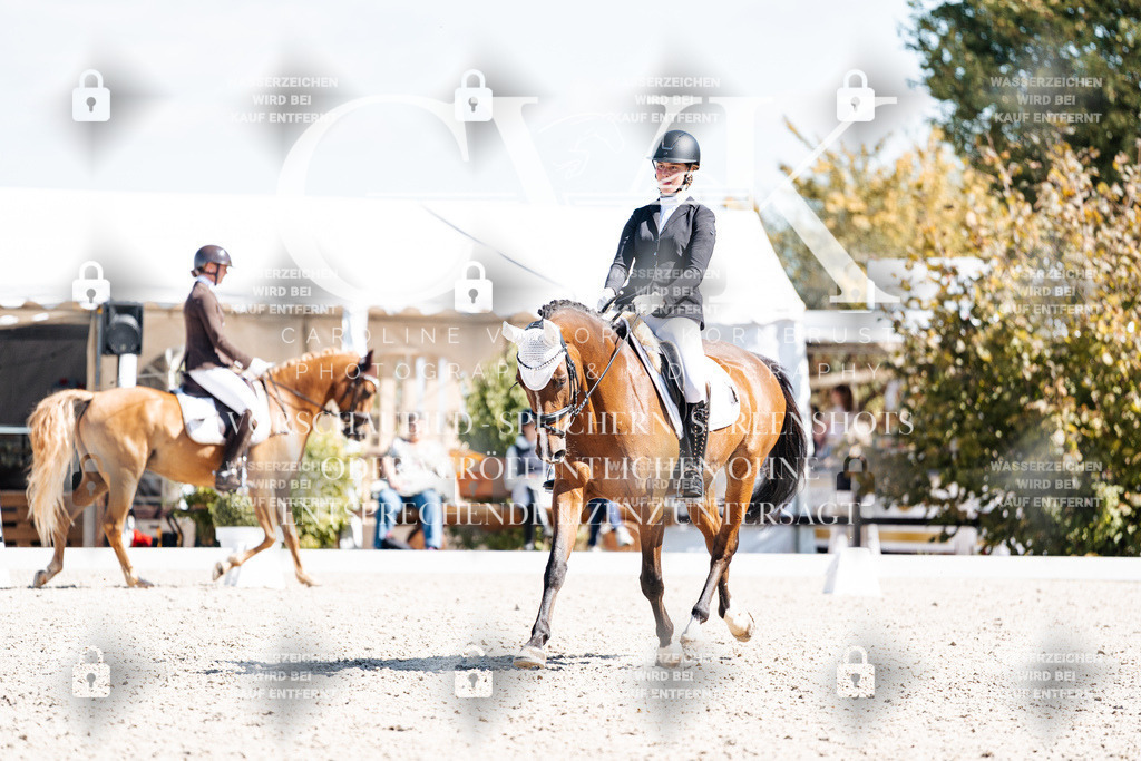 CK903660 | Turnierfotografie Pferdefotografie Trier Rheinland-Pfalz Pferdesport Reitsport Tierfotografie Sportfotografie Pferdevideo Pferdevideografie Equestrianvideography equestrianphotography  - Realisiert mit Pictrs.com