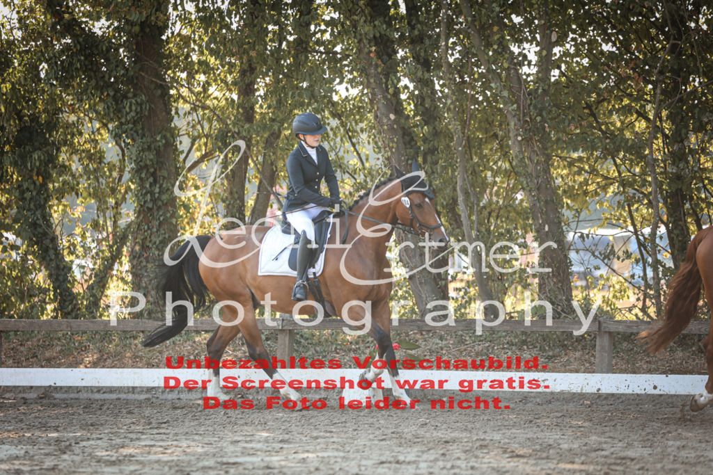 02.SaDrA00228 | Leoni Ertmer Photography - Realisiert mit Pictrs.com