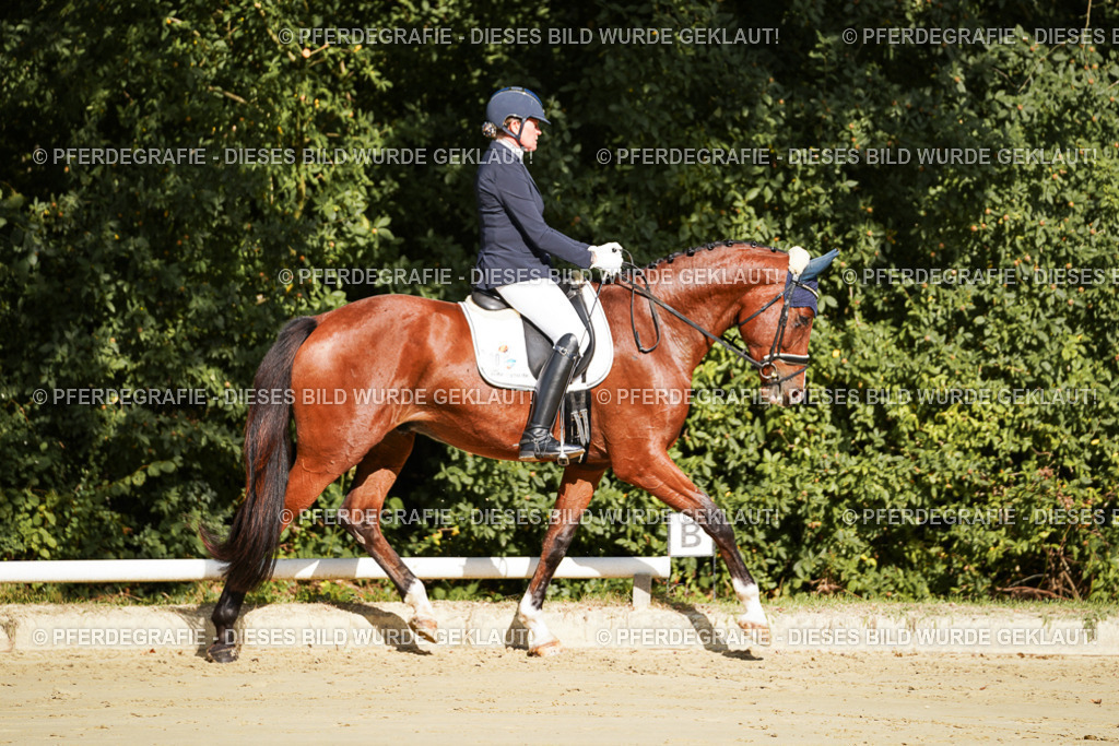 DSC07544 | Pferdegrafie