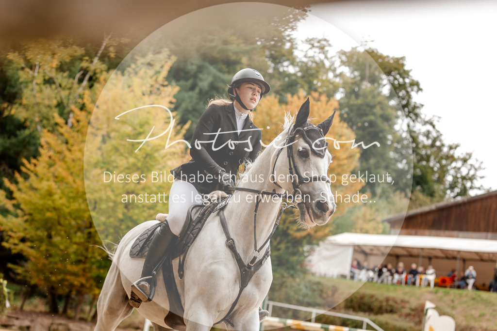 3I6A8016 | Stimmungsvolle Portraits und Reitsportfotografie im Ruhrgebiet und im Münsterland.

Pferdefotografie, Hundefotografie, Tierfotografie, Reportagen, Portraits von Tier und Mensch, Turnierfotografie in Bochum, Recklinghausen, Marl, Haltern am See, Dülmen.. - Realisiert mit Pictrs.com