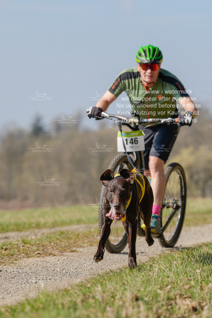 Scooter_Lang-23 | stephaniefillaphotographie - Realisiert mit Pictrs.com