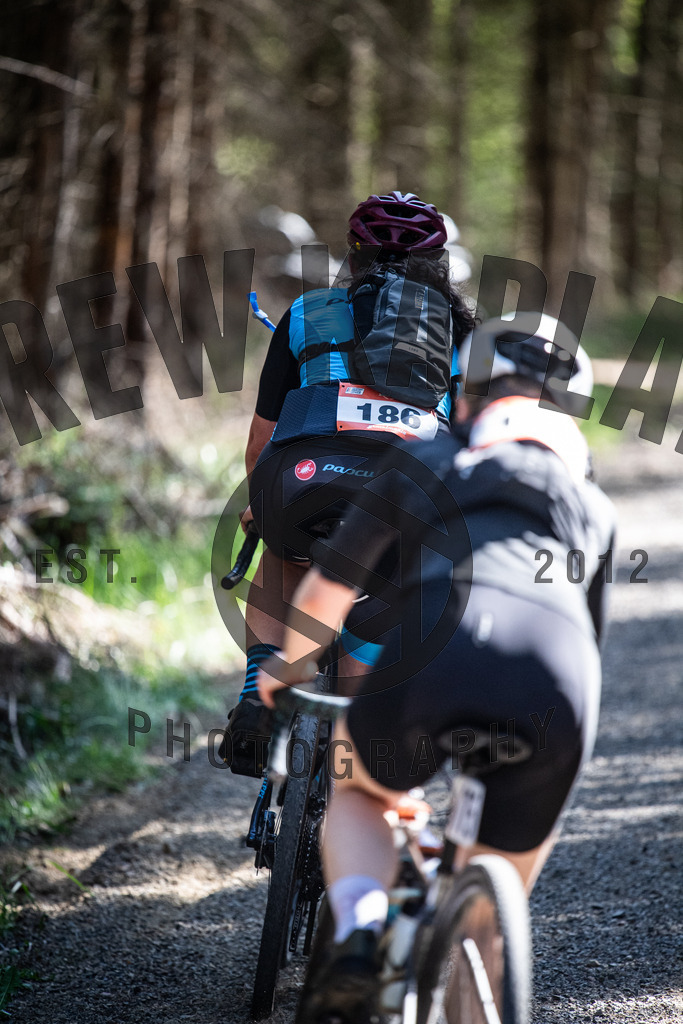 DKP-2024 | Drew Kaplan Photography