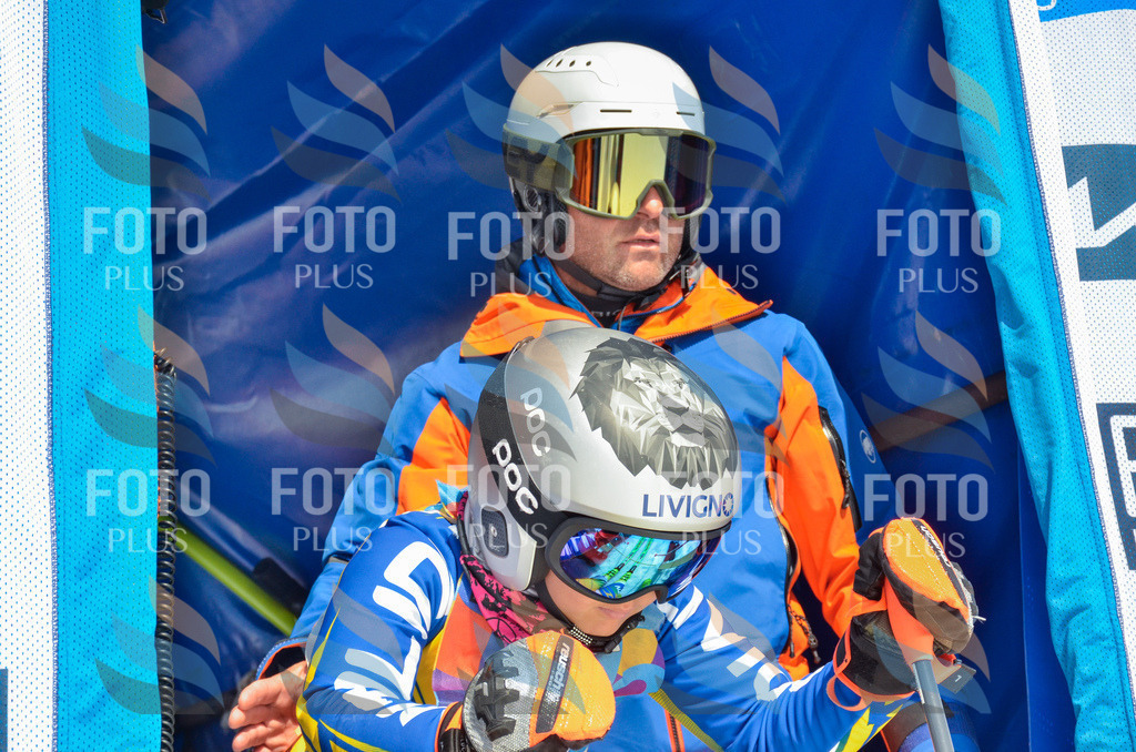 _ELE6409 | holidayphoto