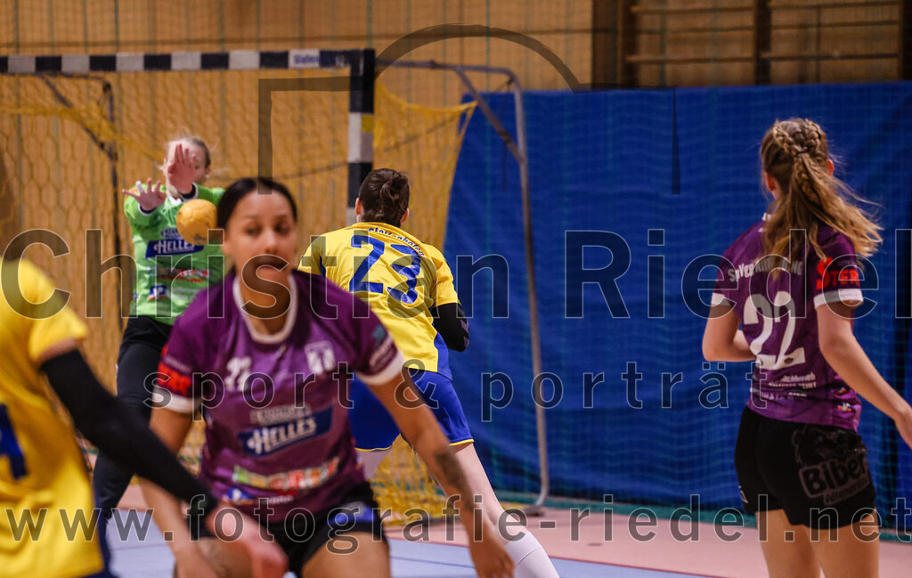 2025-02-15_099_SpVgg_Altenerding_gegen_MTV_Pfaffenhofen | Erding, Deutschland, 15.02.2025:Handball, Bezirksoberliga Frauen Altbayern 2024 / 2024, 14. Spieltag, SpVgg Altenerding gegen MTV Pfaffenhofen, Endergebnis: 27:23Torfrau Hanna Obermair (SpVgg Altenerding, #1), Dzanita Mulalic (MTV Pfaffenhofen, #23), Johanna Taubmann (SpVgg Altenerding, #22)Foto: Christian Riedel / fotografie-riedel.net