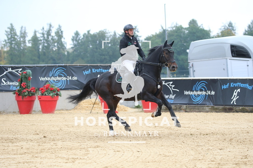 DL2Q1633 | Willkommen bei Brunnmayr - Design & Fotografie – Ihrem Spezialisten für Reitturniere und Pferdeveranstaltungen in Oberösterreich, Salzburg und Bayern! Seit über 17 Jahren sind wir leidenschaftlich dabei.