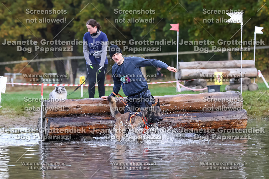 Dog Paparazzi - Strongdog 10-25-6599 | Dog Paparazzi Jeanette Grottendiek Fotografie & Videografie - Realisiert mit Pictrs.com
