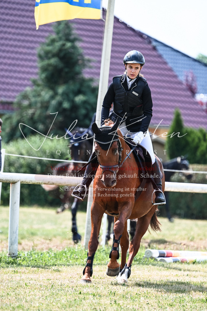 DSC_8848 | Pferde- und Turnierfotografie in Westsachsen. Pferdeportraits, Auftragszeichnungen und intuitive Kunst.