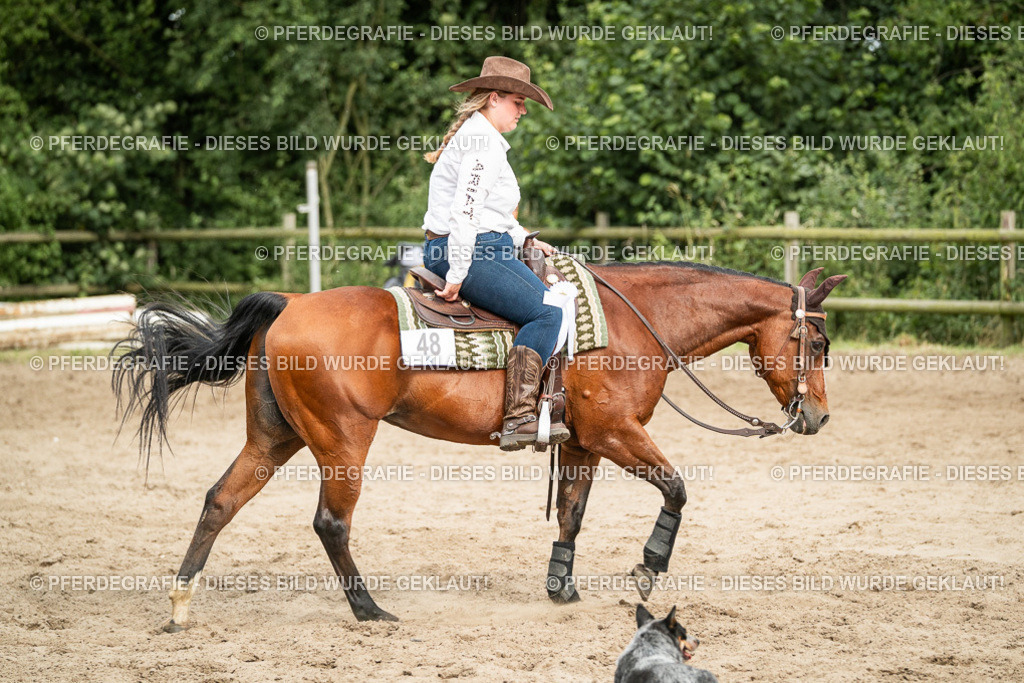 DSC04675 | Pferdegrafie