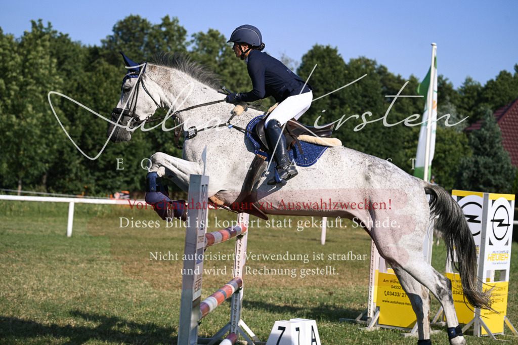 DSC_1686 | Pferde- und Turnierfotografie in Westsachsen. Pferdeportraits, Auftragszeichnungen und intuitive Kunst.